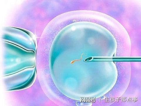 代孕