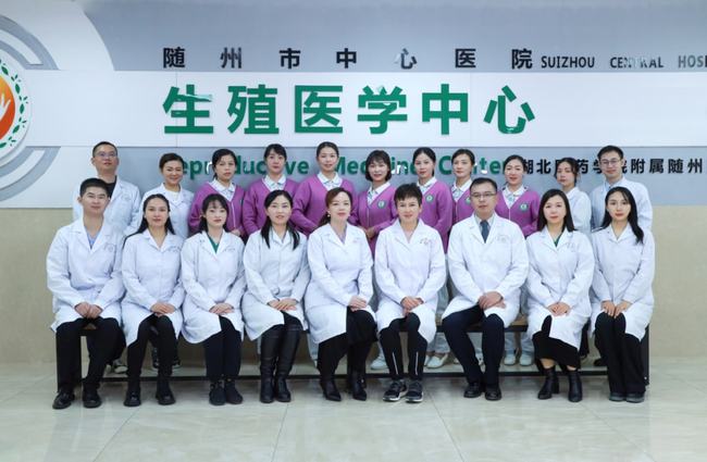 娇妻的代怀孕