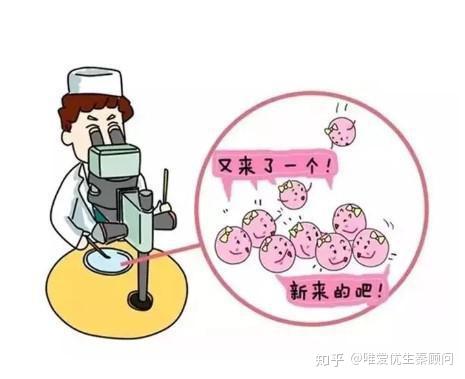 人流后多久可以怀孕