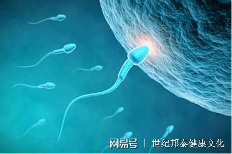 夫代妻孕