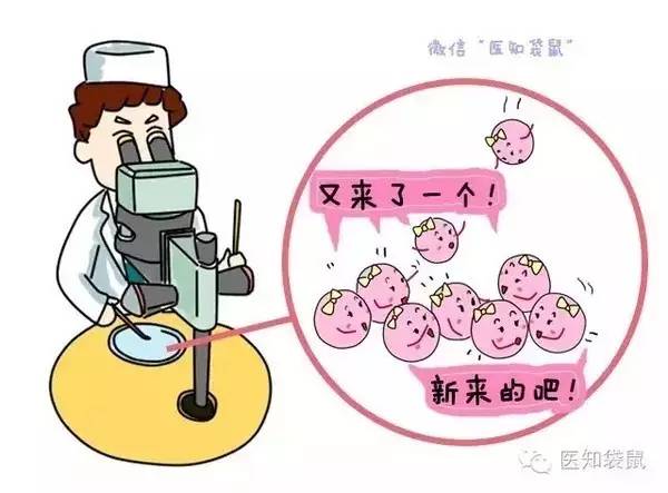 代孕