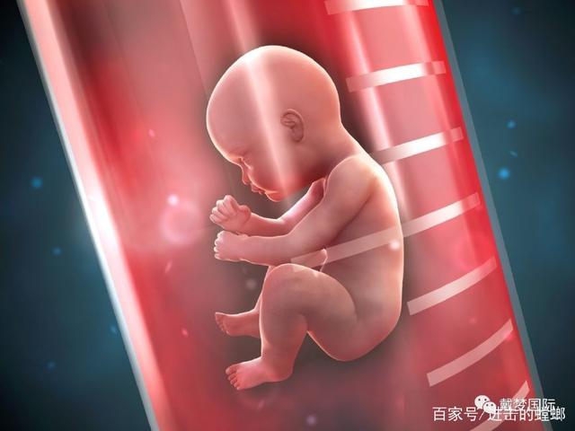 娇妻的代怀孕
