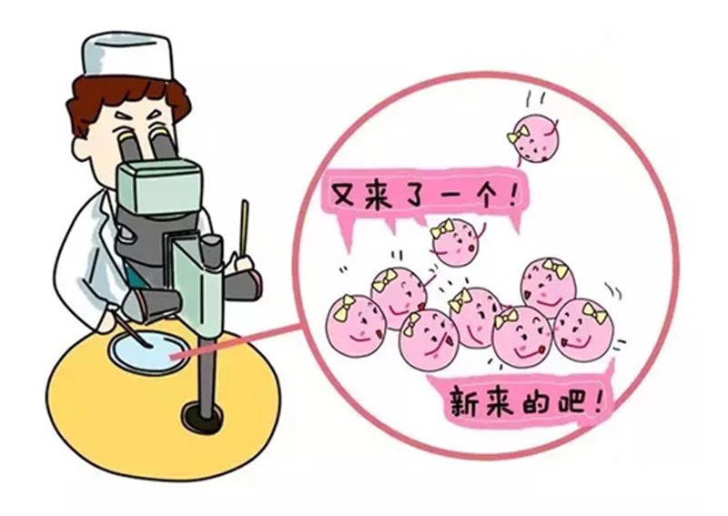 早早孕