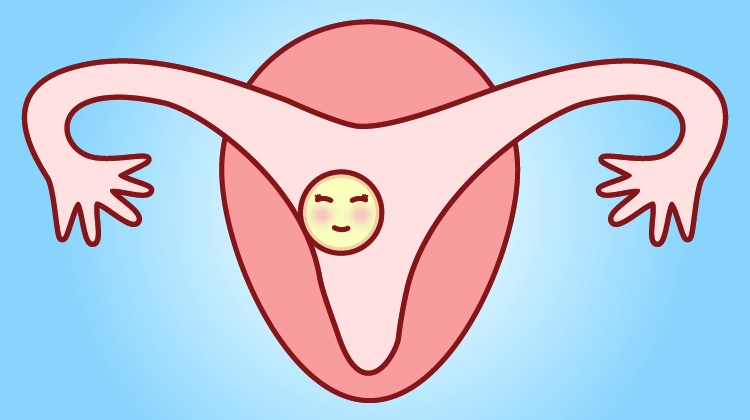 代孕离婚