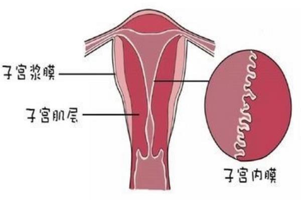 怀孕打胎